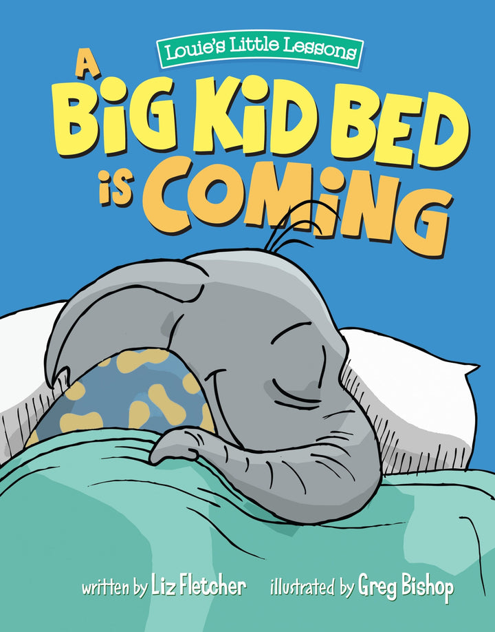 A Big Kid Bed is Coming (Transition your Child from their Crib to a Big-Kid Bed)